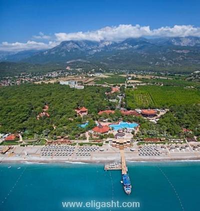 مارتی مایرا کمر