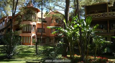 مارتی مایرا کمر