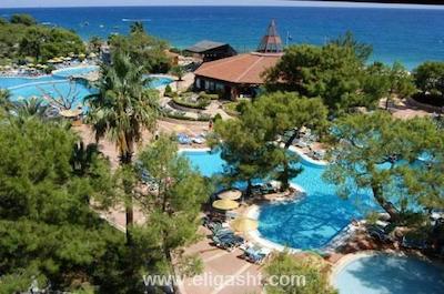 مارتی مایرا کمر