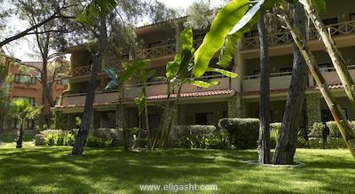 مارتی مایرا کمر