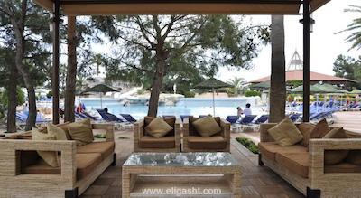 مارتی مایرا کمر