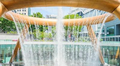 پن پاسیفیک سرویس سوئیس اورچارد