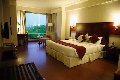 وستا اینترنشنال