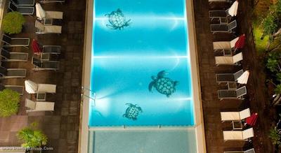 آیبیس پاتایا