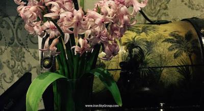 گاردن ویو بوتیک