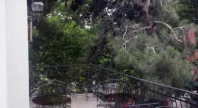 گاردن ویو بوتیک