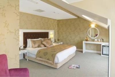 هاری این مرتر استانبول