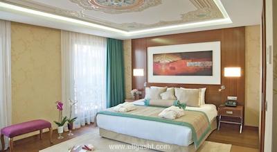 هاری این مرتر استانبول