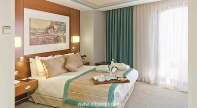 هاری این مرتر استانبول