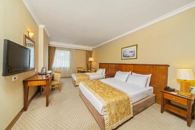 آرتز هتل استانبول تکسیم