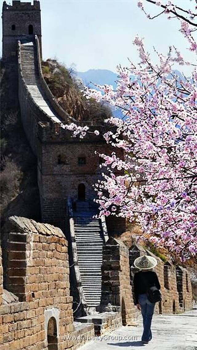 کینگ وینگ هات اسپرینگ هتل بیجینگ
