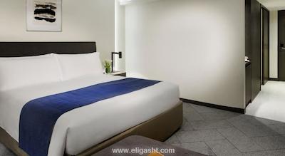 مندرین اورچارد سنگاپور