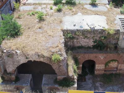 کاسموپولیتن پارک