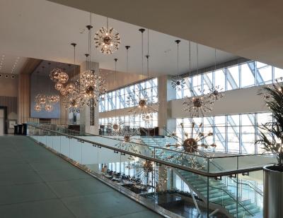 د آنکارا هتل