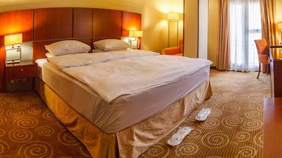 هتل بزرگ تهران 2