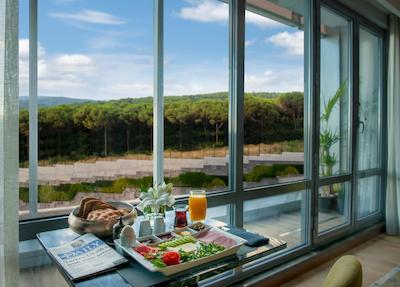 سامرست ماسلاک استانبول