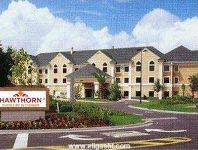 هاوتورن سوئیت بای ویندهام استانبول ایرپورت