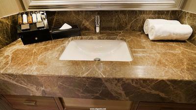 هاوتورن سوئیت بای ویندهام استانبول ایرپورت