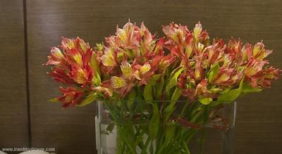 سیزنز سیام هتل