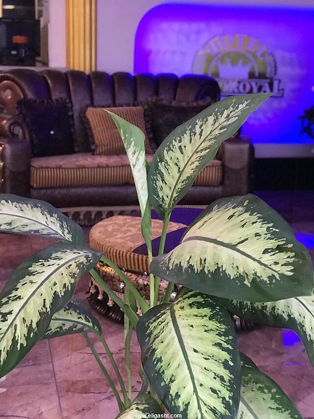 اکسپریال هتل
