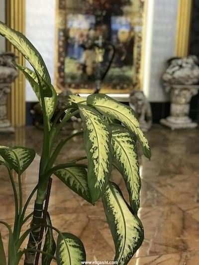 اکسپریال هتل