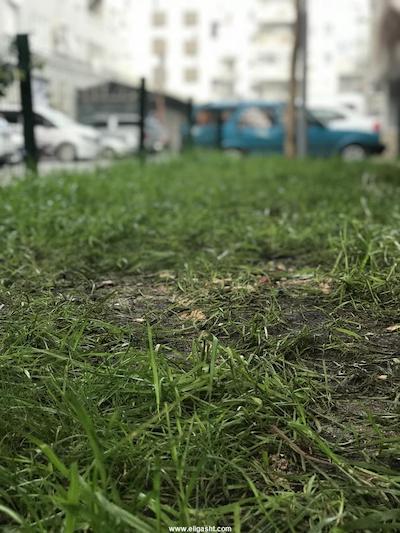 اکسپریال هتل