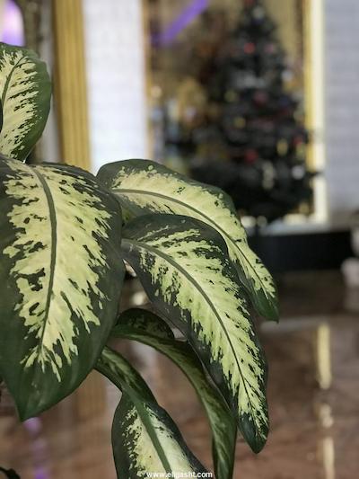 اکسپریال هتل