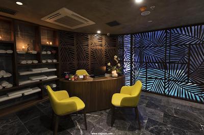 اندلس آرت تکسیم