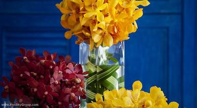 اماری هوا هین