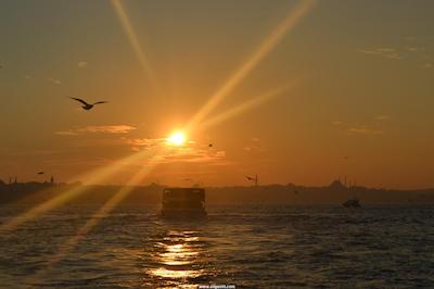 بلو استانبول هتل تکسیم