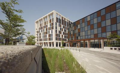 کانوپی بای هیلتون دبی السیف