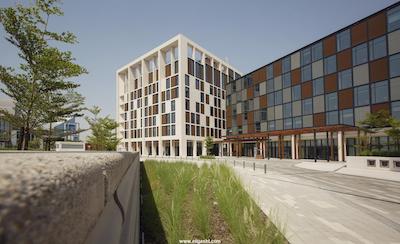 کانوپی بای هیلتون دبی السیف