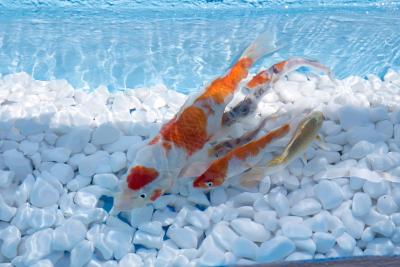 وایندهام آتن رزیدنس