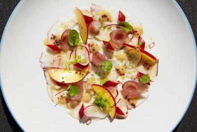 سزار ریزورت بلوواترز دوبی