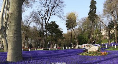 اولد پورت هتل