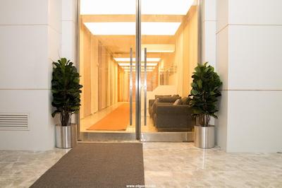 زین دی هوم دودولو