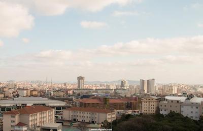 زین دی هوم دودولو