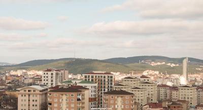 زین دی هوم دودولو