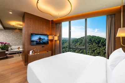 رادیسون بلو هتل وادی استانبول