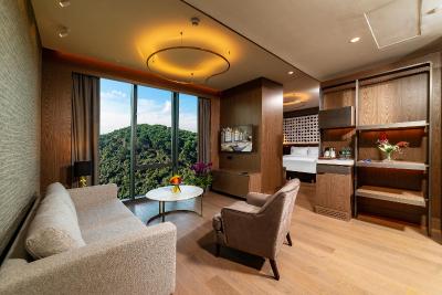 رادیسون بلو هتل وادی استانبول