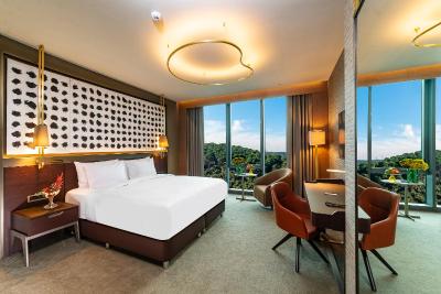 رادیسون بلو هتل وادی استانبول