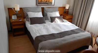 ایکبال دلوکس هتل استانبول