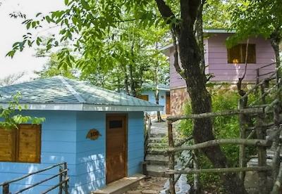 هتل بام رامسر