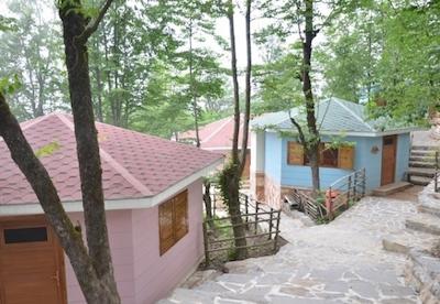 هتل بام رامسر