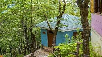 هتل بام رامسر