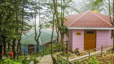 هتل بام رامسر