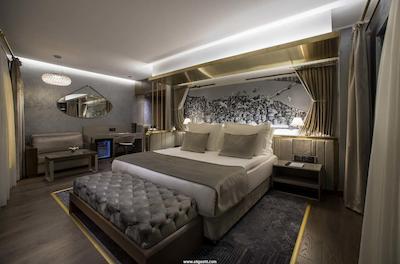 د وینگز هتل استانبول