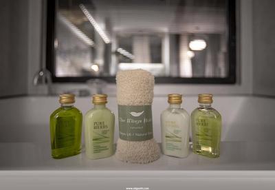 د وینگز هتل استانبول