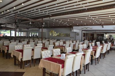 لارا هادریانوس