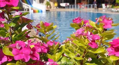 لارا هادریانوس